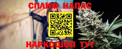 индика Кизилюрт