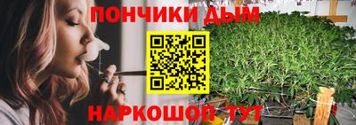 индика Кизилюрт