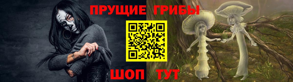 Мурино  Псилоцибиновые грибы мухоморы  Вход с VPN  Псилоцибиновые грибы мухоморы 